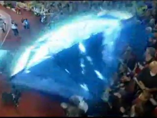 Yohan Blake - 100m (Zurich 13 Diamond) (2012)