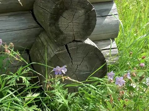 Русские живые картины. Часть 2