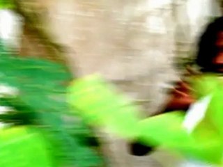 (Krashdown production)Slim Vidéo of Ticha  °°La Prod°°