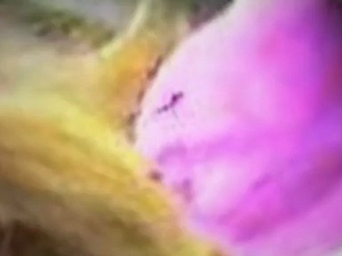 Bankruptcy Attorney Ventura, Oxnard, Camarillo, Santa Barbara