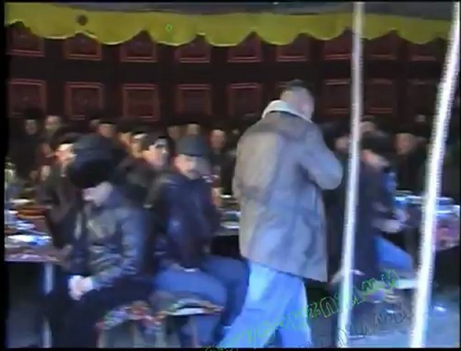 zerip qiziqchi (TOYDA)