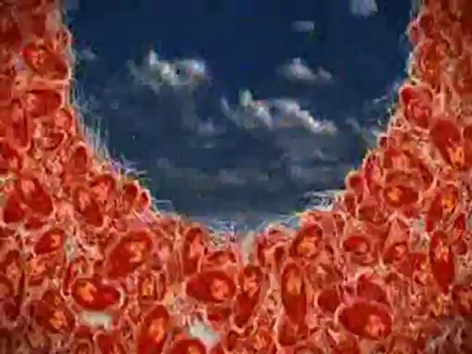 Cleansing for the HCG Diet.  Detoxify the Colon.