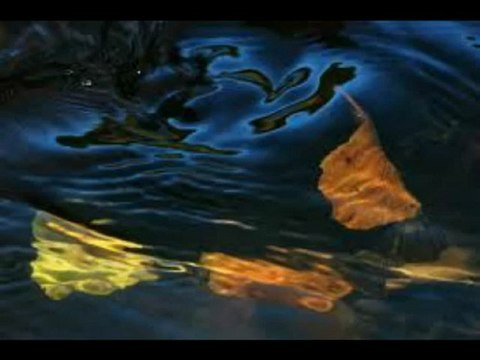 Luc ROMANN . Amours de mes dix ans .