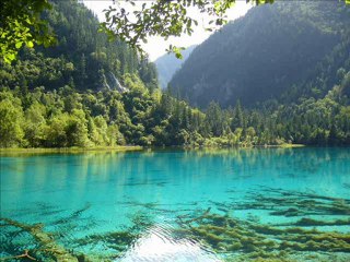 electronic cigarette review