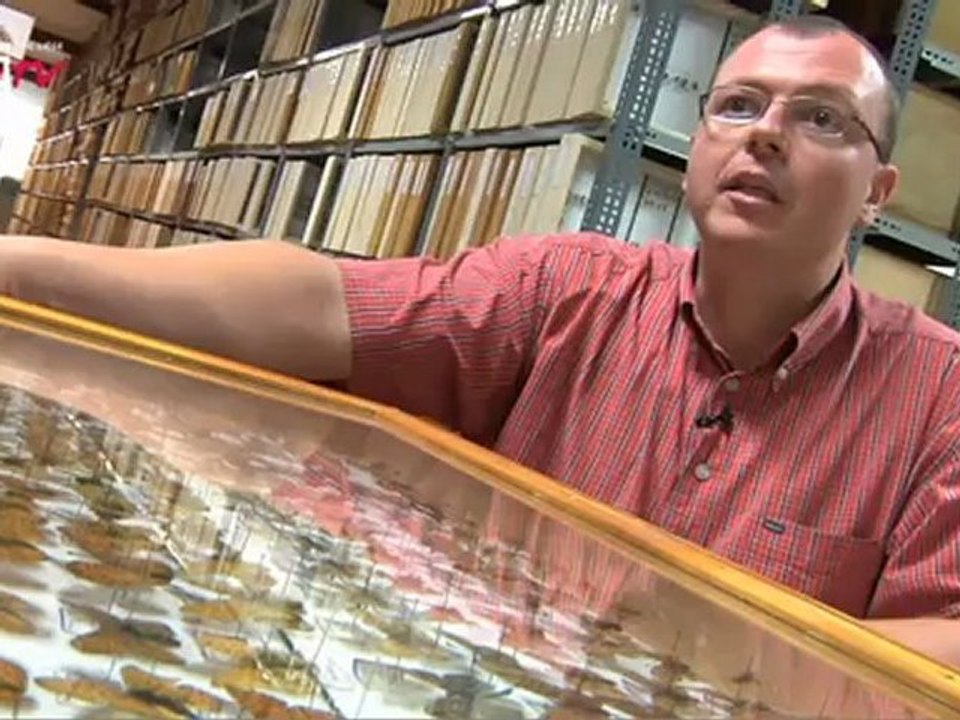 entomologie