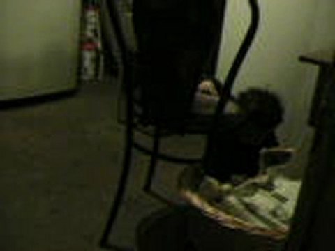 MVI_0161 este es el mejor regalo de toda mi vida ver a mi hijo caminar te quiero mucho alexander