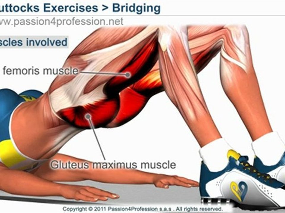 BEST Tone Buttocks exercise - Reduce buttocks and  thighs with Bridging exercise