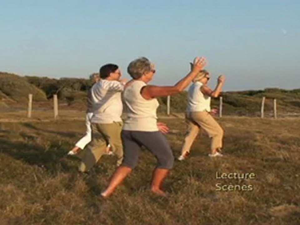 Cours de tai chi chuan : extraits démonstratifs de tai chi