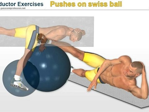 Adductor exercises : Pushes on swiss ball for inner thighs