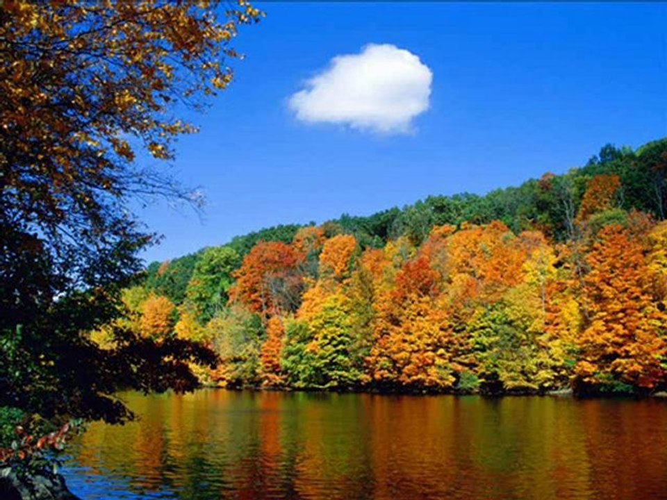 tankless water heater reviews