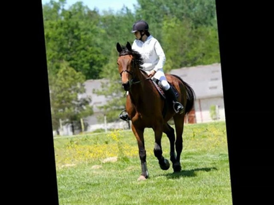 Je t'aime ♥♥