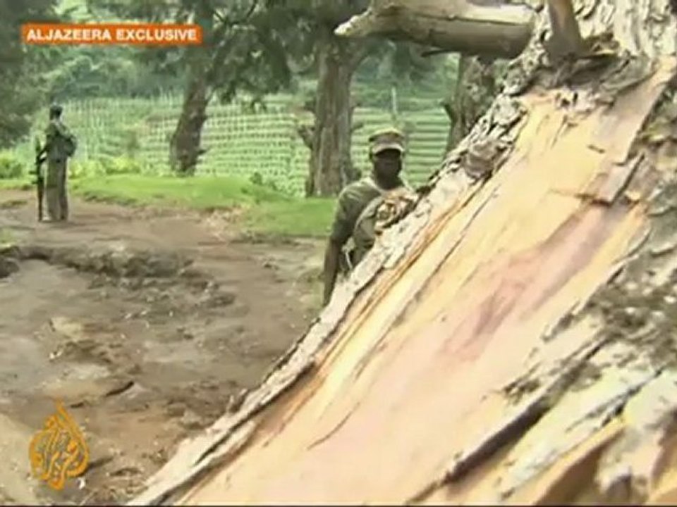 DR Congo rebels  vow to fight to 'last man'