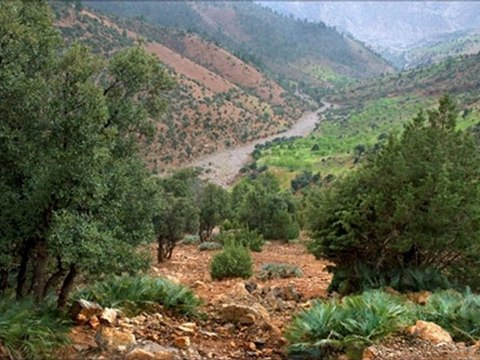 le Moyen Atlas Maroc | الأطلس المتوسط | Trekking au Maroc | Les laces du Moyen Atlas a Cheval | Massif Bou Iblane | Source Oum Rabiaa | Daït Aaoua