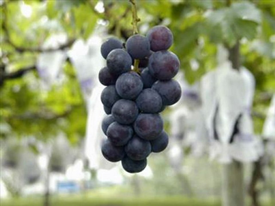 National Geographic Best Sale Black Friday