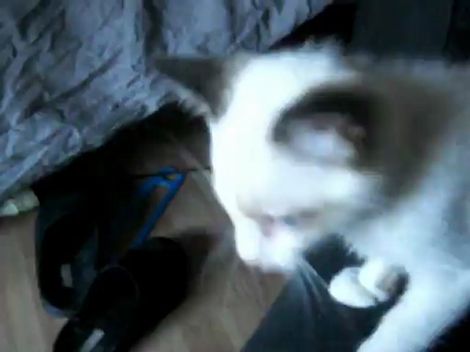 Lucky va mieux !