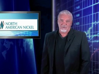 North American Nickel Hunts Elephant