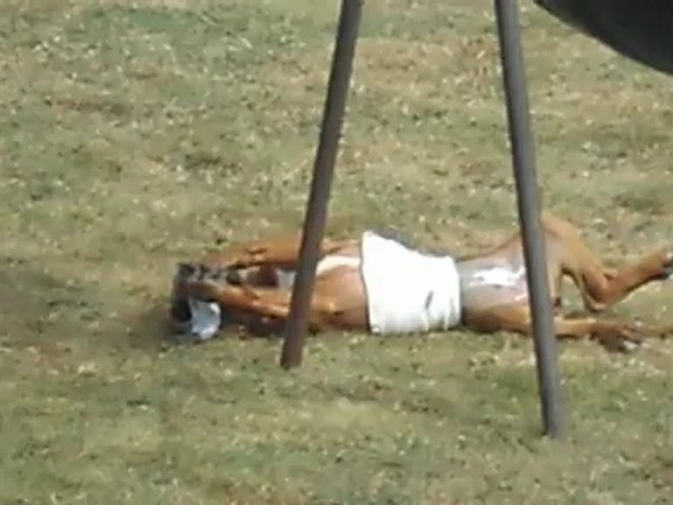 Héïna du Faubourg des Hirondelles