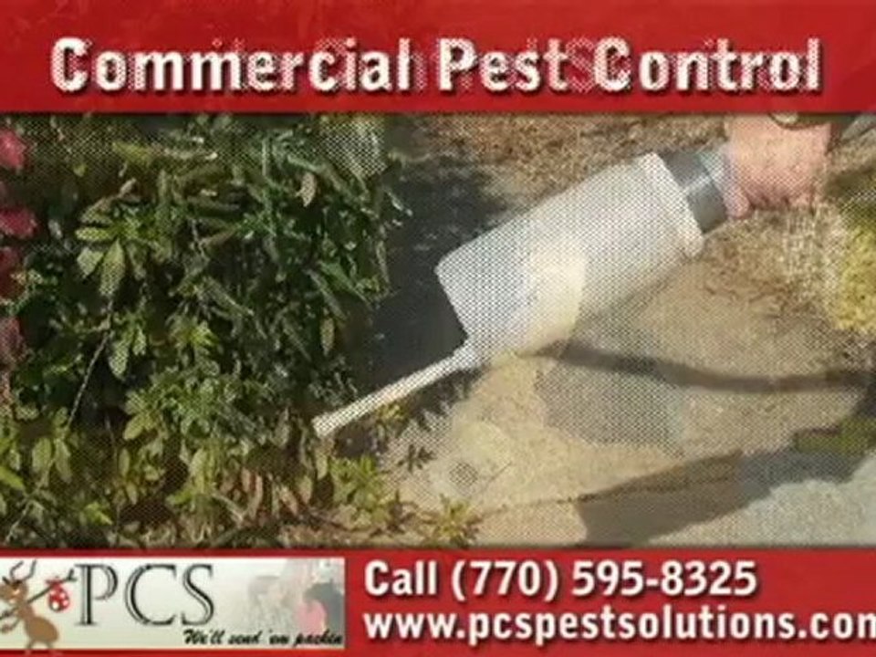 Pest Control in Woodstock, GA - Call (770) 595-8325