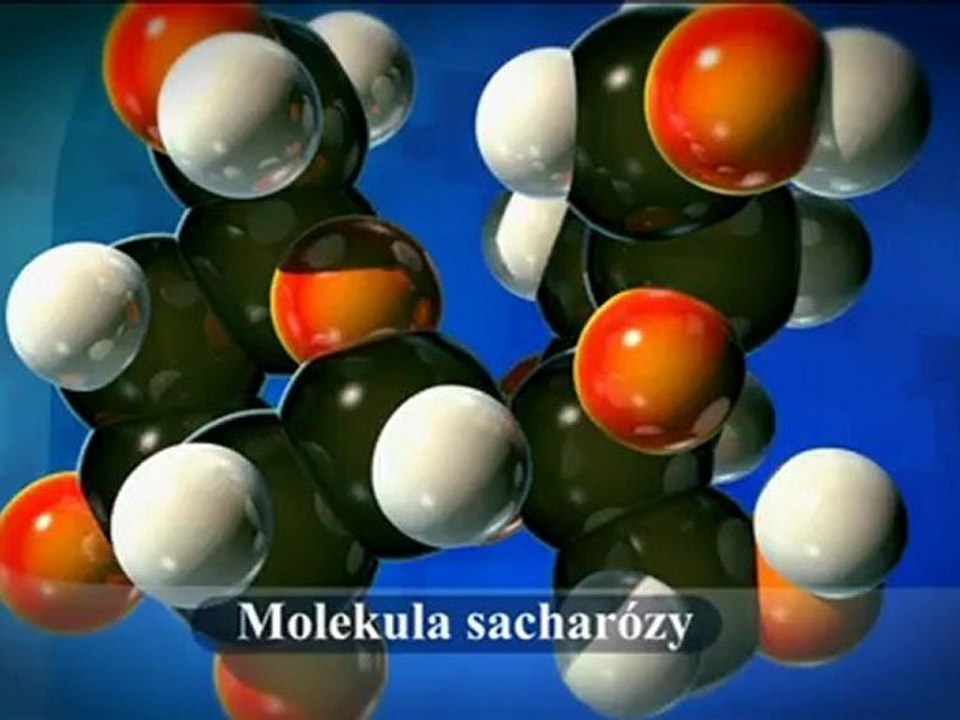 Fruktoza, cukr bili jed, dokument
