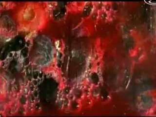 Drogy alkohol a tabak, dokument