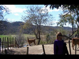 Recuerdos de Tucumán