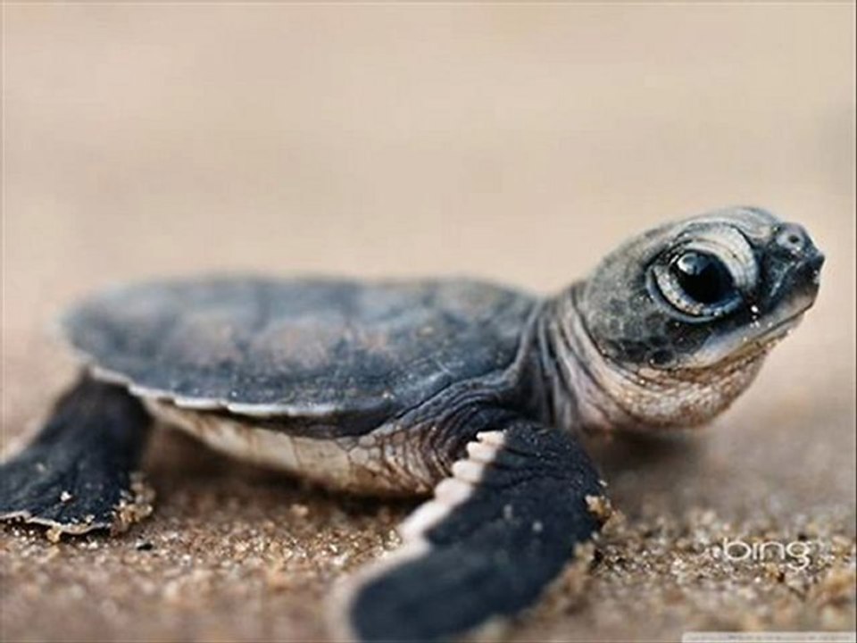 Entertainment Weekly Magazines Best price Black Friday