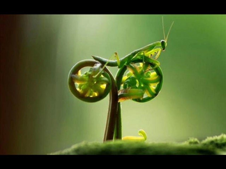 Food Network Magazine Best Cheap Black Friday