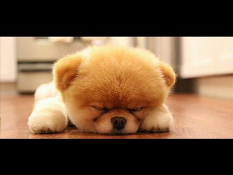 HGTV Magazine Hearst Magazines Best Sale Black Friday