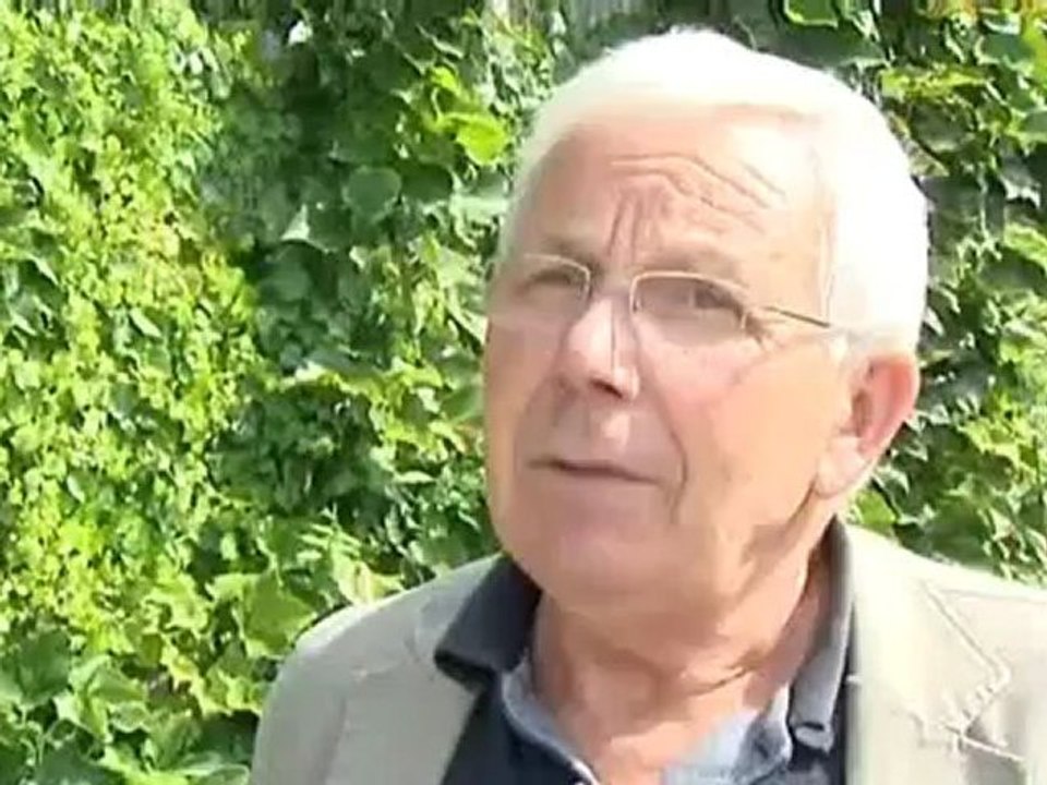 Une mystérieuse "bête grise" attaque les brebis près de cholet