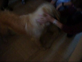 Coup d'boule