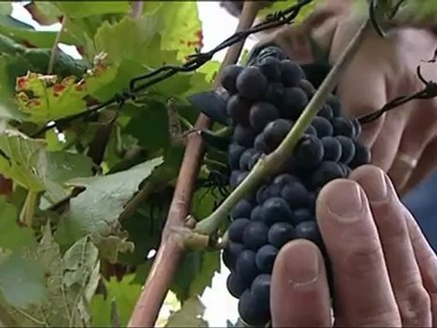 Les escapades de Petitrenaud à Reims 31 08 2012