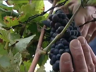 Les escapades de Petitrenaud à Reims 31 08 2012