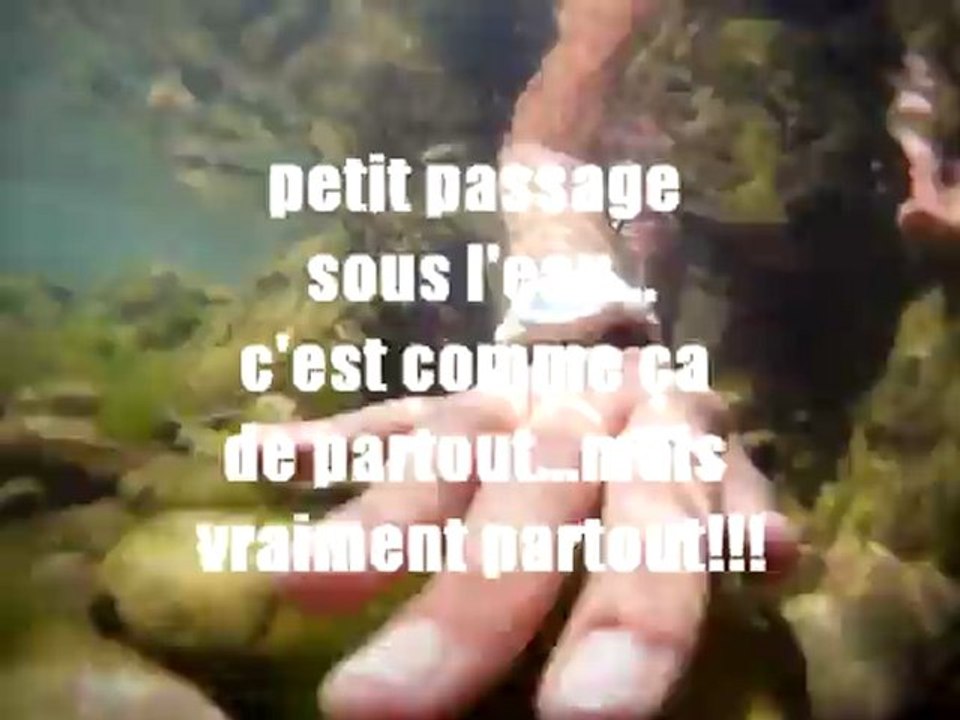 film sous leau - la kolpa - slovenie 2012