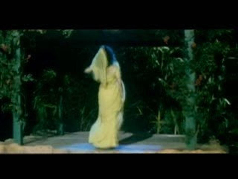 Shah Rukh Khan et Madhuri Dixit