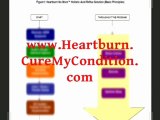 How To Cure Chronic Acid Reflux Permanently Within 2 Months - Best Natural And Holistic Heartburn Treatment