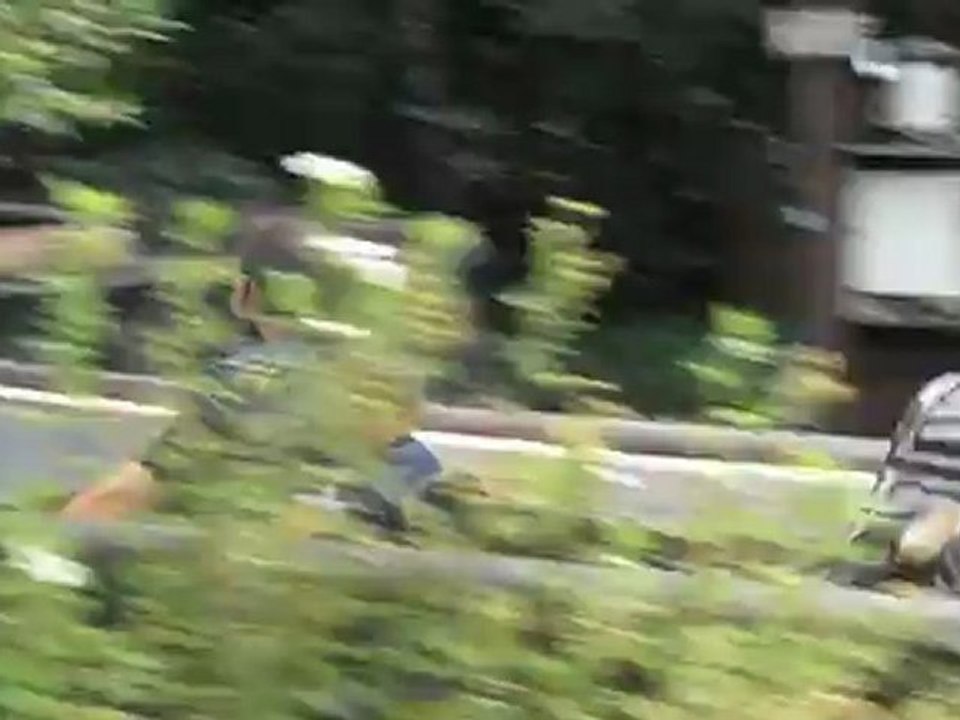 Descente en bûche
