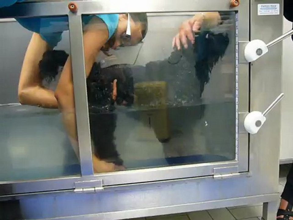 vidéo 2 (rééducation)