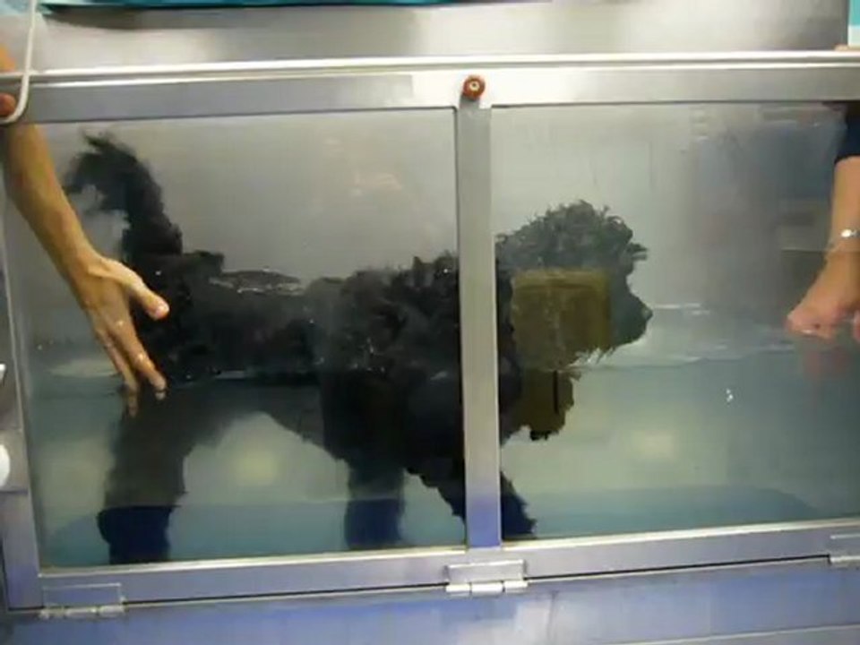 vidéo 3 (rééducation)