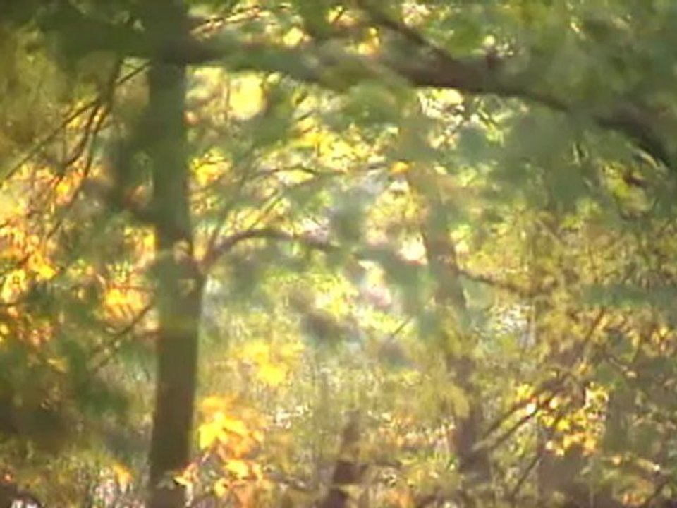 JUST FOR A SONG by Alisa Gladyseva Alias Guitar free song from the new project " Songs without words "