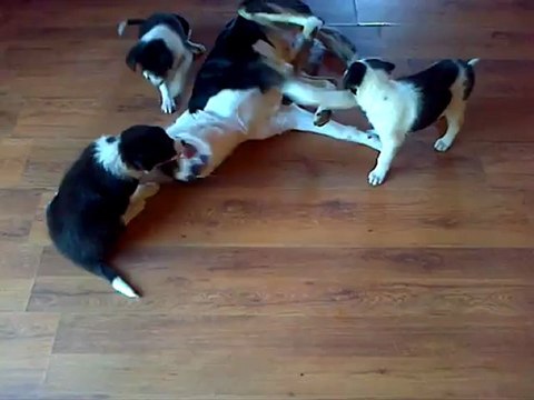 Haby et Elwood, featuring Hublot, Hacker and friends.