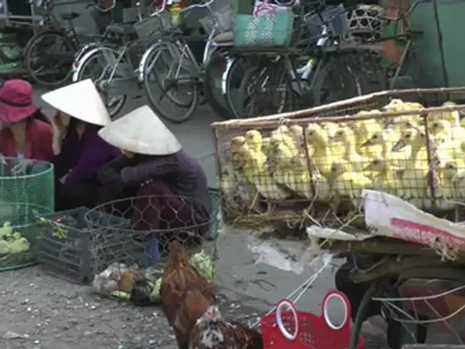 8 mois en Asie à vélo