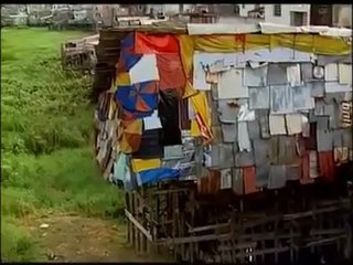 Le Peuple Brésilien (O Povo Brasileiro) Chapitre 10