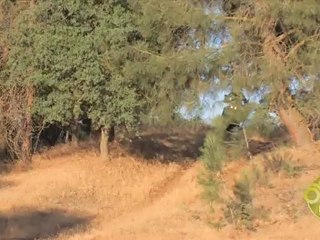 Best Adventure: Yamaha Super Tenere