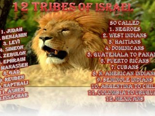 Pt.20 (Distortion Of History) Historical Proof Of The 10 Lost Tribnes Of Israel