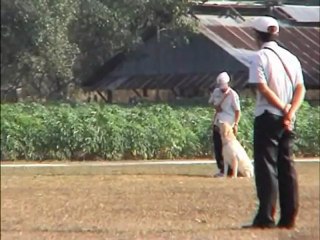 ศูนย์ฝึกสุนัขK9ศรีราชา-น้องคำ