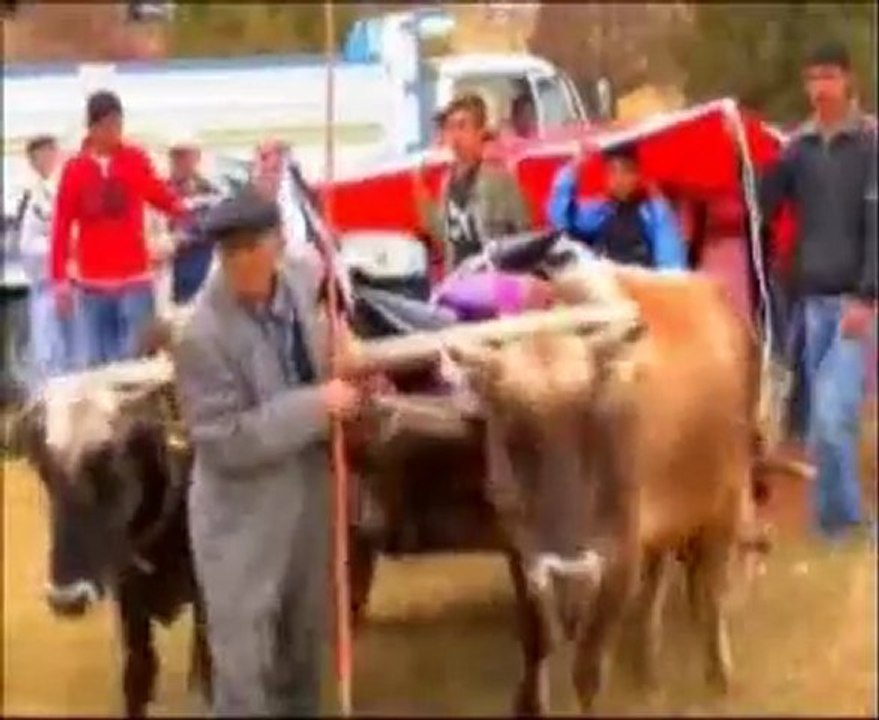 Ahmet Dayının Kurtuluş Savaşı Şiiri.