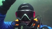 Рукопожатие морского котэ