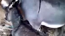 Кавказские мужчины такие кавказские