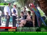 Refuge for abused animals in Sochi