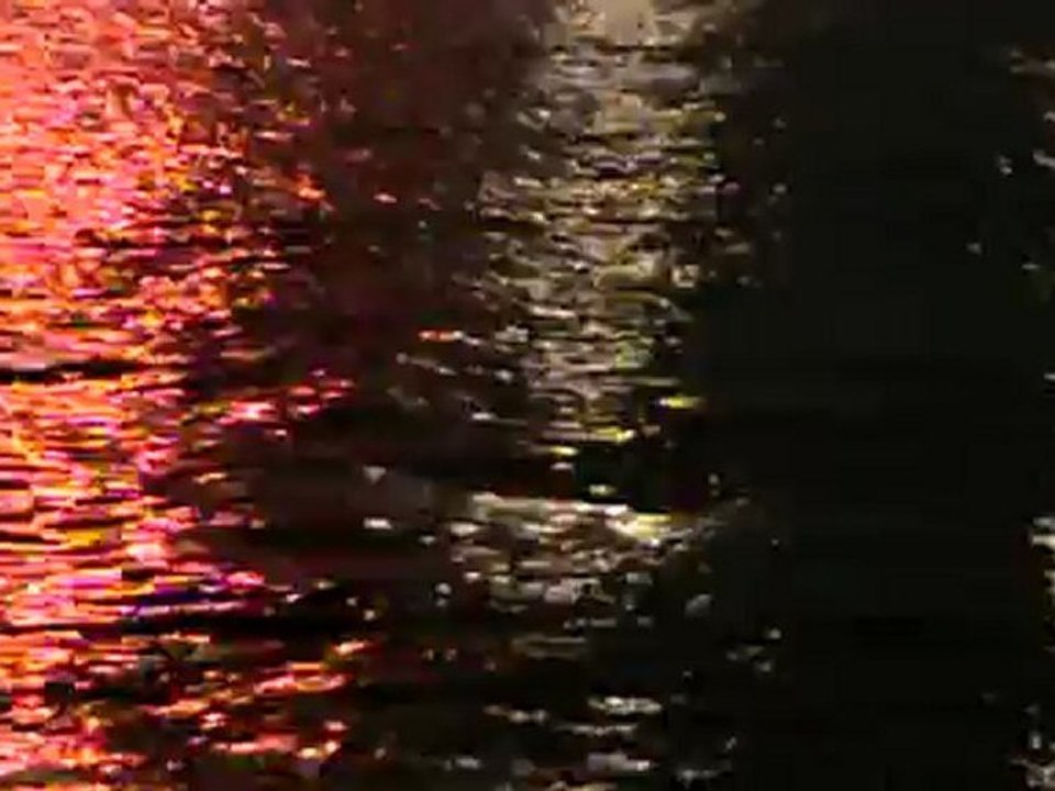 Feux du 24/08/12 à Cannes (6)